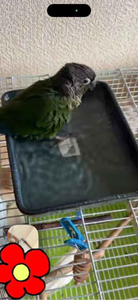 こんにちは