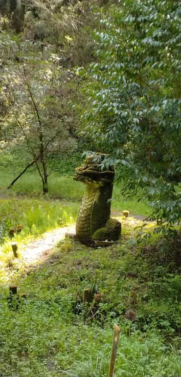 大丈夫ですか？