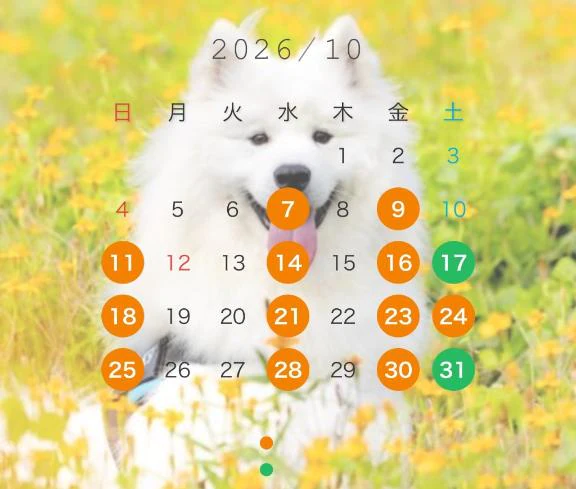 仮予定ですが…