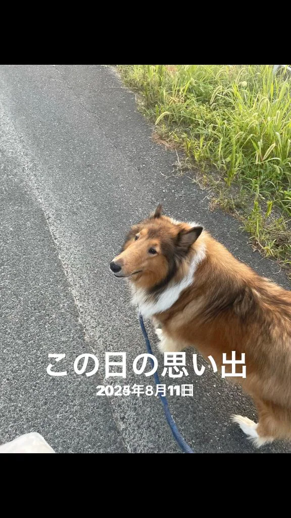 おはようございます