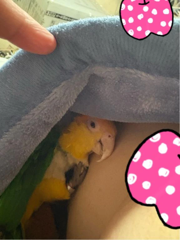 おはようございます