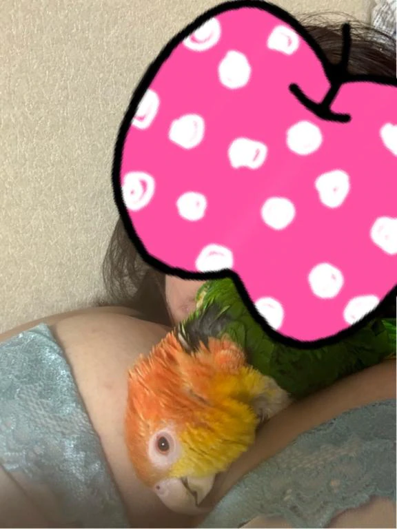 今日は