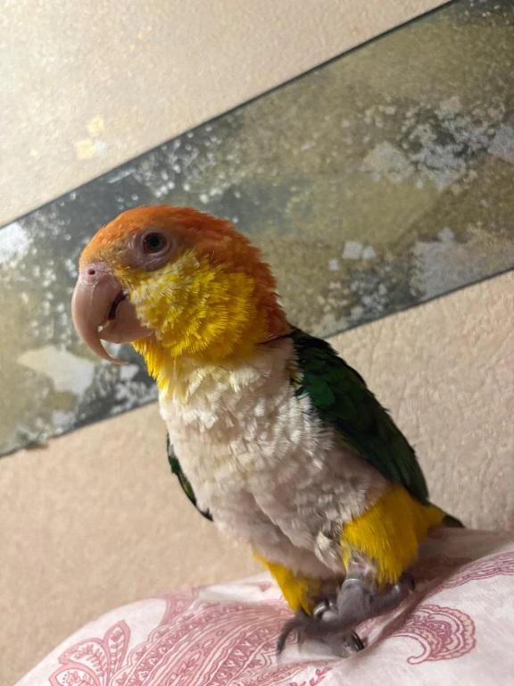 こんにちは