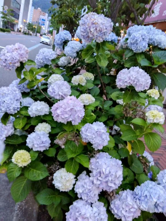 ありがとう♡