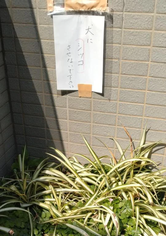 妄想と断言