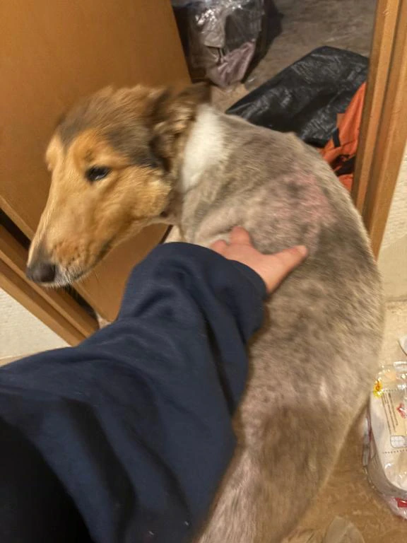 こんばんは