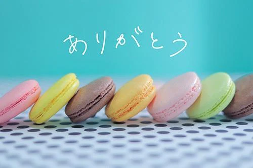 昨日のお礼💌