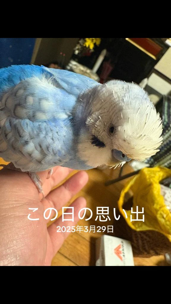 こんにちは