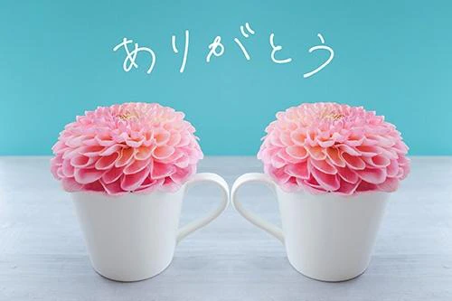 お礼💌