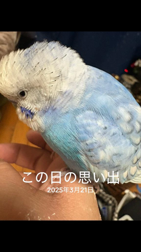 ありがとうございました