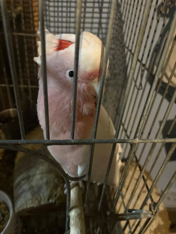 申し訳ありません