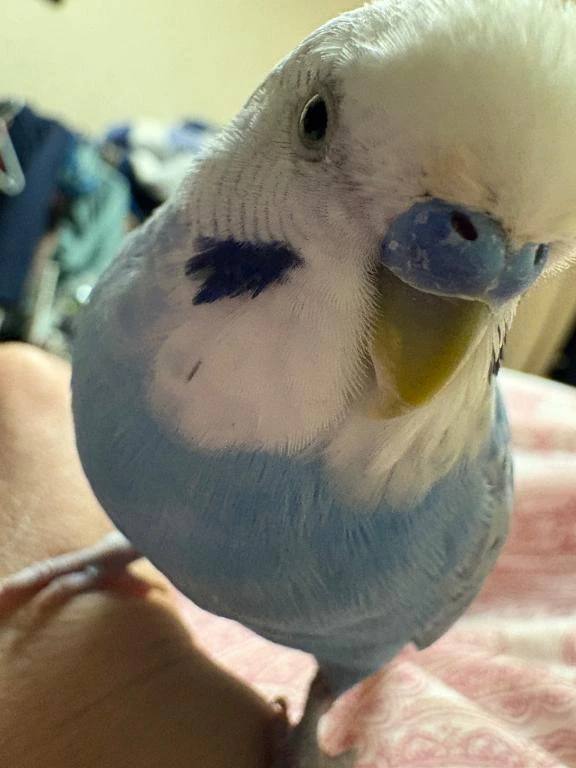 おはようございます