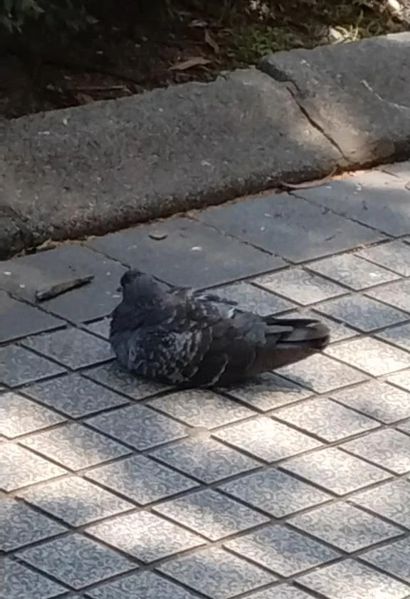 なんかごめん3