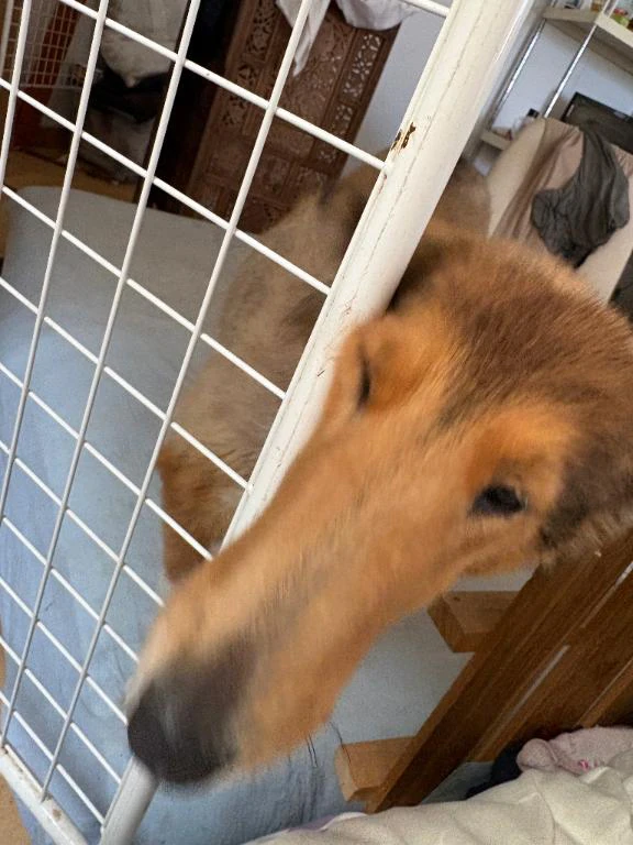 いつもみたよ、ありがとうございます