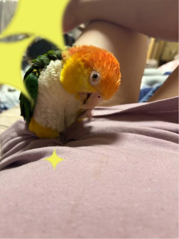 ビックリ