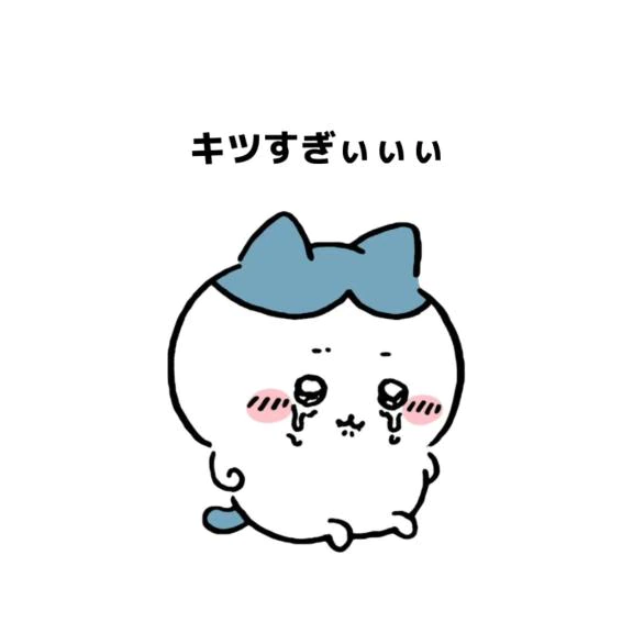 1週間お休みするのだ･･･‪🥲‎💭